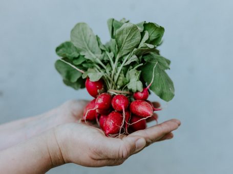 gesunde Ernährung Bund Radiesschen in der Hand
